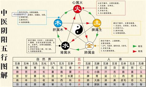 五行木代表|木的五行特性